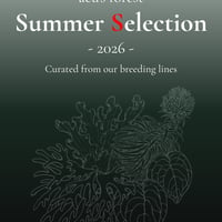 acu’s forest Summer Selection 2026
