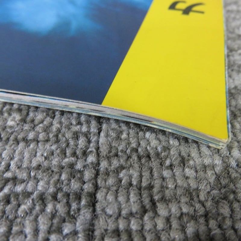COVERDALEPAGE Japan Tour 1993 カバーデイルペイジ 日本ツアーパン