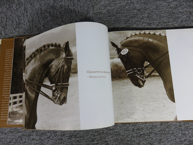 洋書 MUSTANG The Racing Thoroughbred fit=scale-down,w=1200