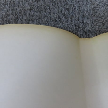 【洋書】AN ATLAS OF ANATOMY FOR ARTISTS　アーティストのための解剖学書/BL5-S10