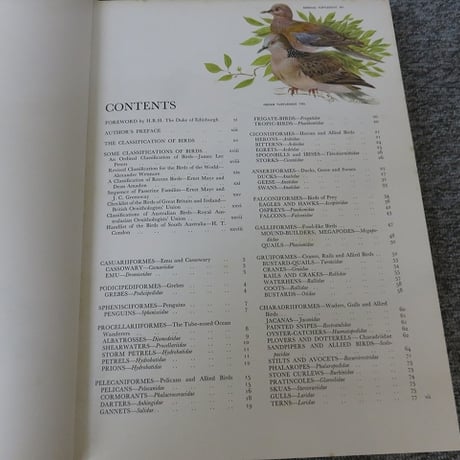 【洋書】Australian Birds オーストラリアの鳥　BL5-S12