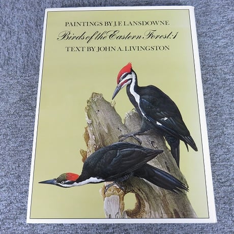 【洋書】Birds of the Eastern Forest/ジェームズ・フェンウィック・ランズダウン 鳥類画集/BL5-S26