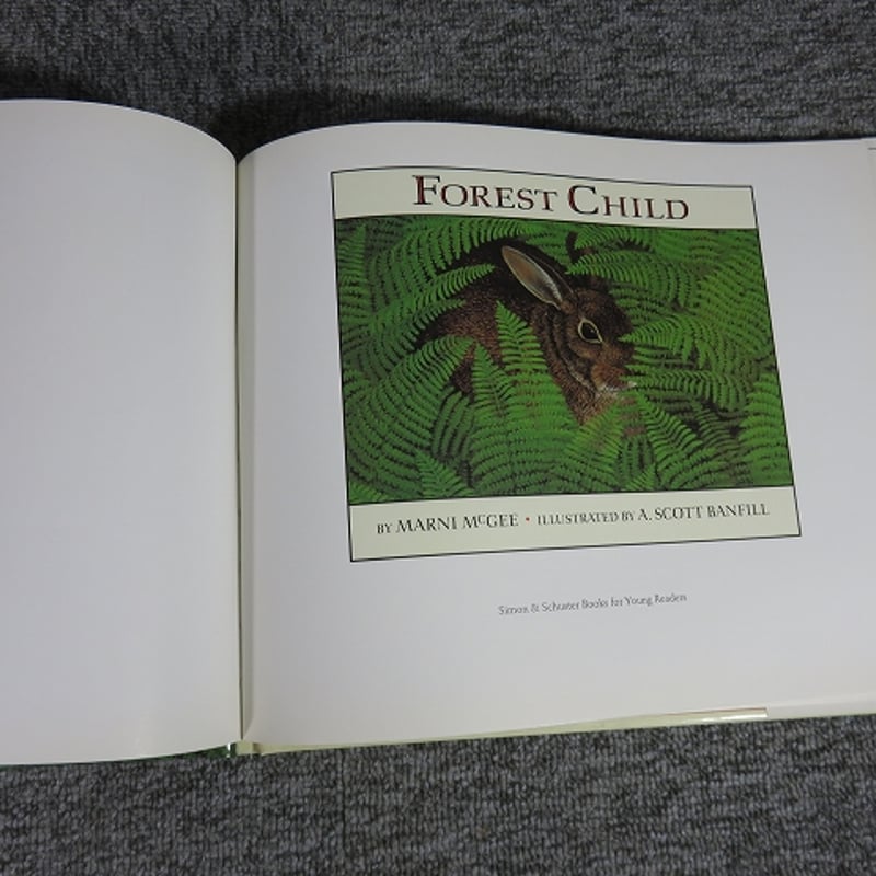 洋書・絵本】Forest Child/BL5-SY4 | エイワ書店 奈良の古本屋