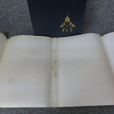 【洋書】History of Aviation 　航空史　BL5-S13