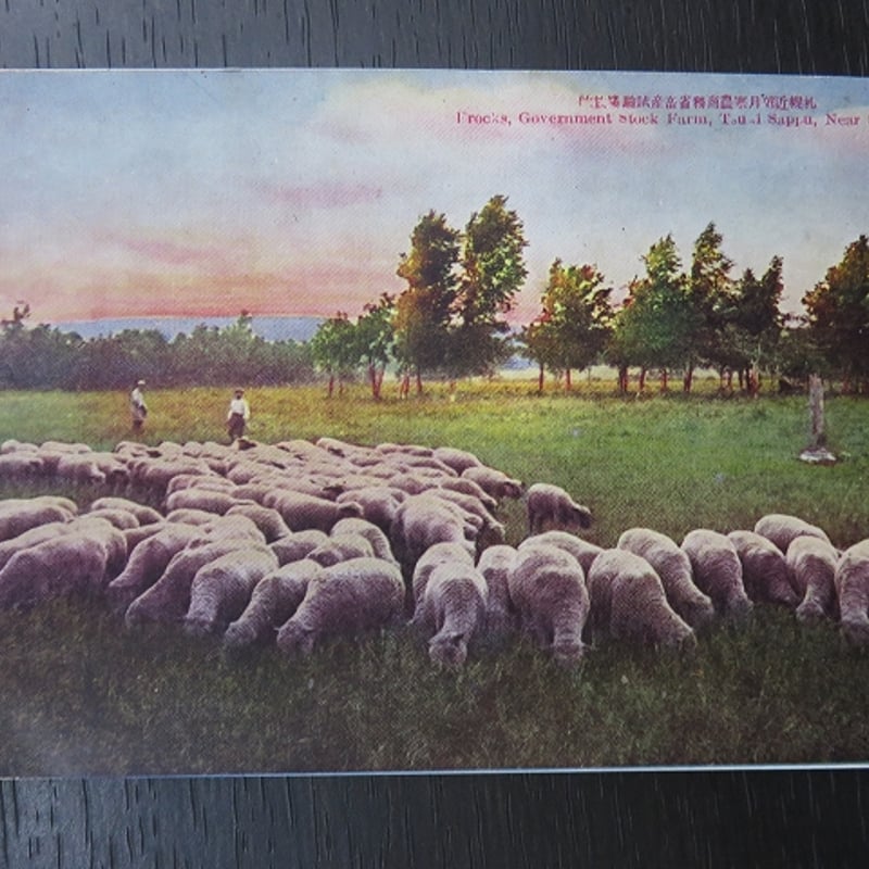 古い絵葉書 原色版『札幌維新堂絵葉書7枚』BL5-A7 | エイワ書店 奈良の