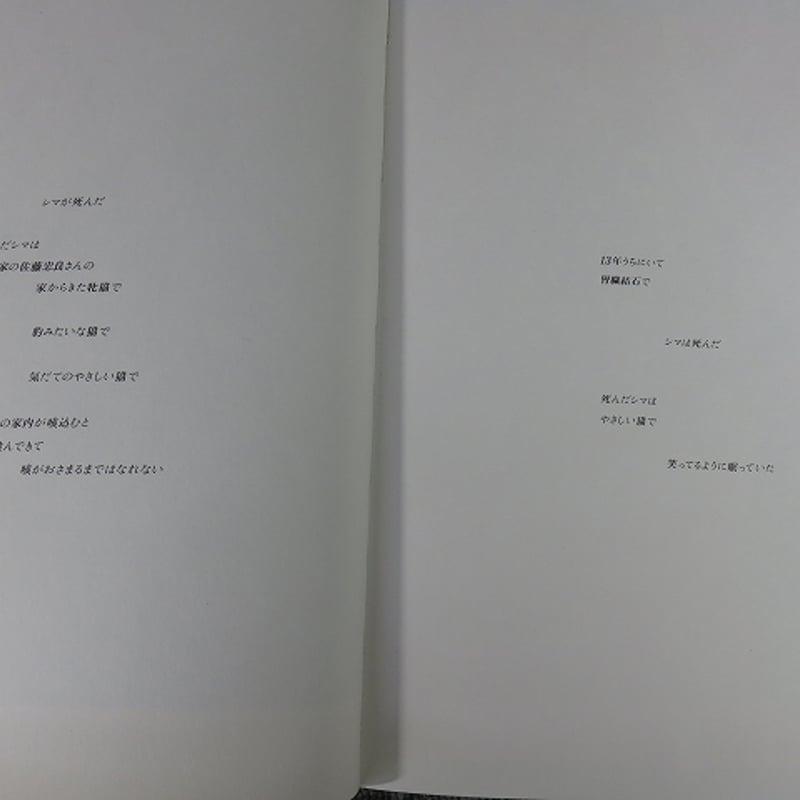 猫の肖像◇山城隆一◇画集/BL5-IR3 | エイワ書店 奈良の古本屋