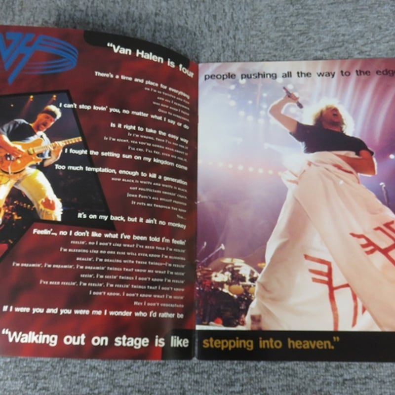 ヴァンヘイレン　ライブパンフレット ヴァン・ヘイレン VAN HALEN 1989 ツアー・パンフレット | ROCK