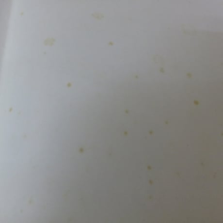【洋書】Das Bilderlexikon der Schiffe. Vom Einbaum zum Ozeanriesen　（BL5-S9）