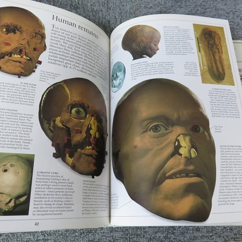 洋書】DK Eyewitness Guides: Archaeology ハードカバー – 洋書】DK Eyewitness Guides: Archaeology ハードカバー –