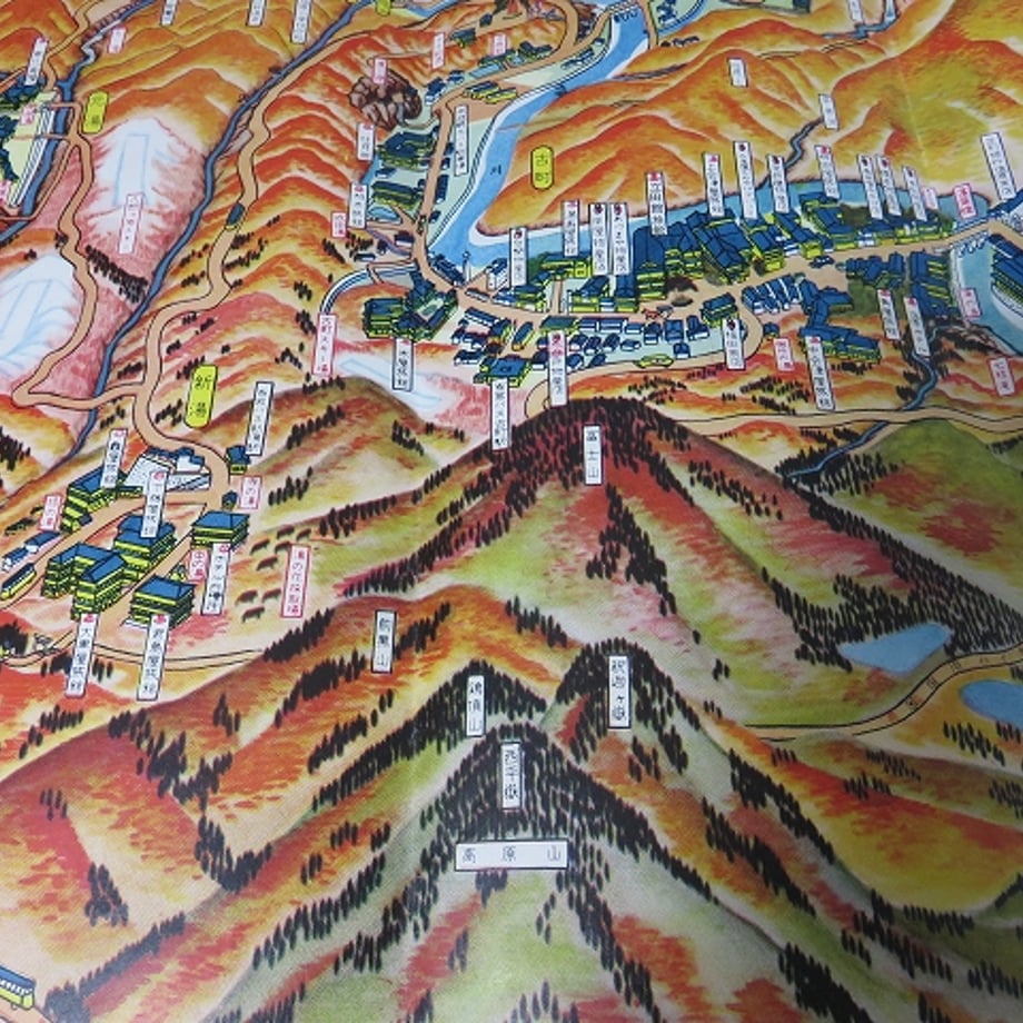 6690bf1e80278e00331a0c29