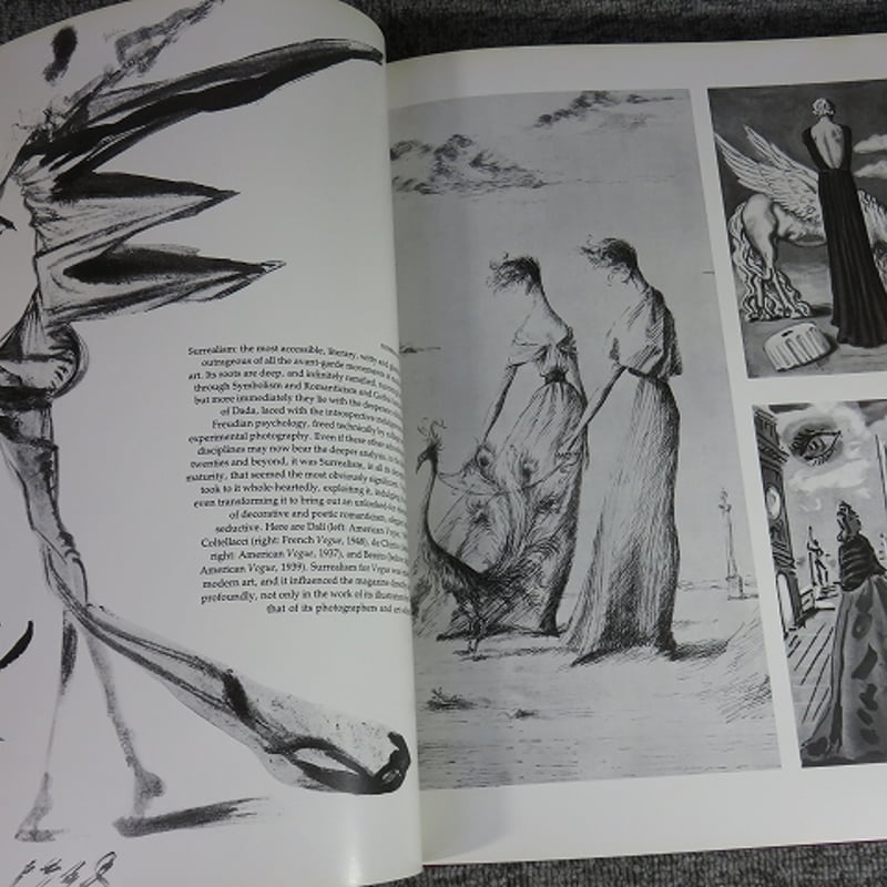 洋書◆Advanced Fashion Drawing Advanced Fashion Drawing : Lifestyle Illustration : Donovan