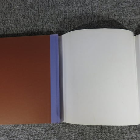 【洋書】Garage: Reinventing the Place We Park / Kira Obolensky (著)　BL5-S15