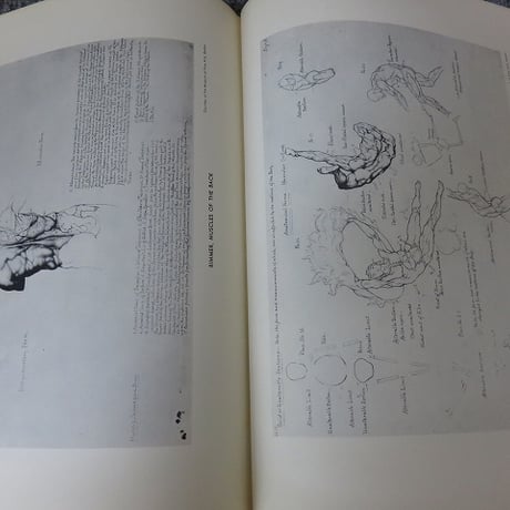 【洋書】AN ATLAS OF ANATOMY FOR ARTISTS　アーティストのための解剖学書/BL5-S10