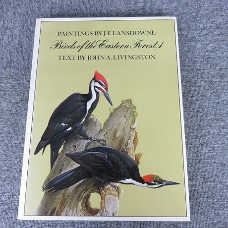 【洋書】Birds of the Eastern Forest/ジェームズ・フェンウィック・ランズダウン 鳥類画集/BL5-S26