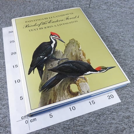 【洋書】Birds of the Eastern Forest/ジェームズ・フェンウィック・ランズダウン 鳥類画集/BL5-S26