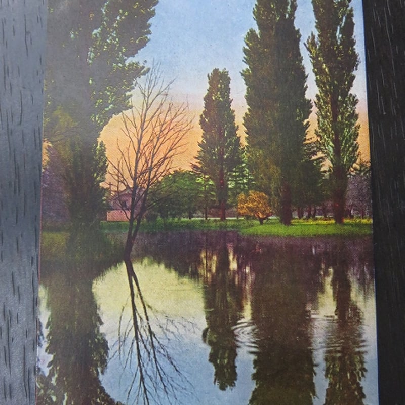 古い絵葉書 原色版『札幌維新堂絵葉書7枚』BL5-A7 | エイワ書店 奈良の