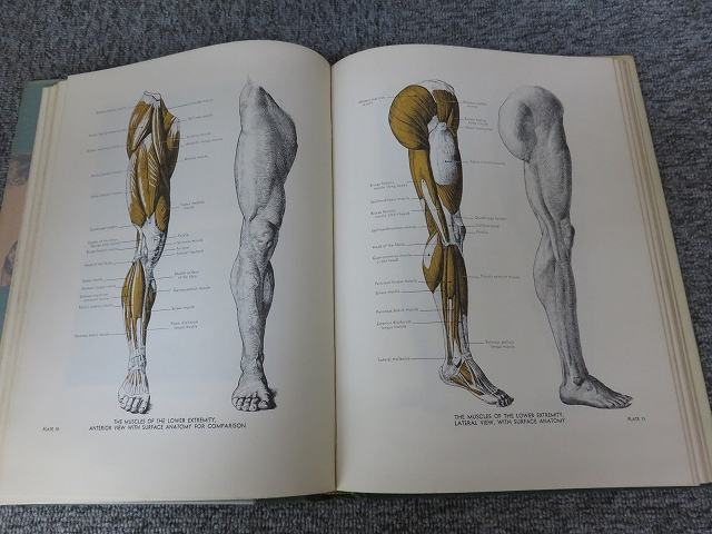 1970年人体解剖図集『Atlas of Human Anatomy』 時代物 1970年人体解剖図集『Atlas of Human Anatomy』 時代物 解剖 図