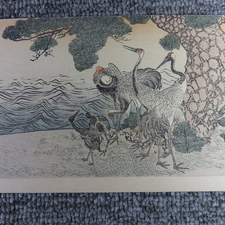 戦前絵葉書8枚まとめて浮世絵美女 女性 美人画 版画/東京審美院印刷/BL5-A11
