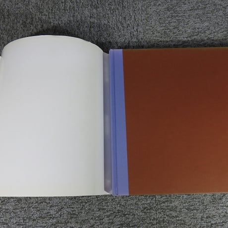 【洋書】Garage: Reinventing the Place We Park / Kira Obolensky (著)　BL5-S15