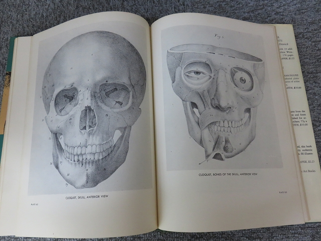 ATLAS OF HUMAN ANATOMY AND SURGERY 洋書 解剖 ATLAS OF HUMAN