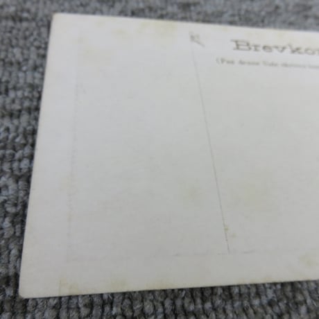 戦前絵葉書■浅草上空ヨリ俯瞰セル仲見世及仁王門ノ盛観/東京・浅草/BL5-A13