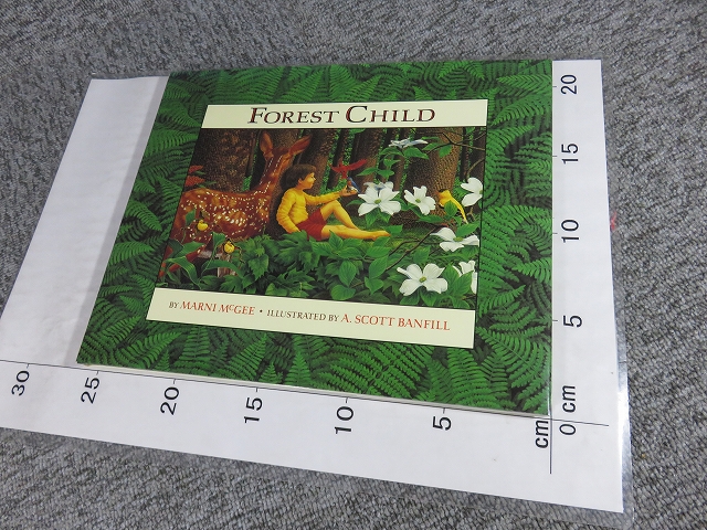 洋書・絵本】Forest Child/BL5-SY4 | エイワ書店 奈良の古本屋