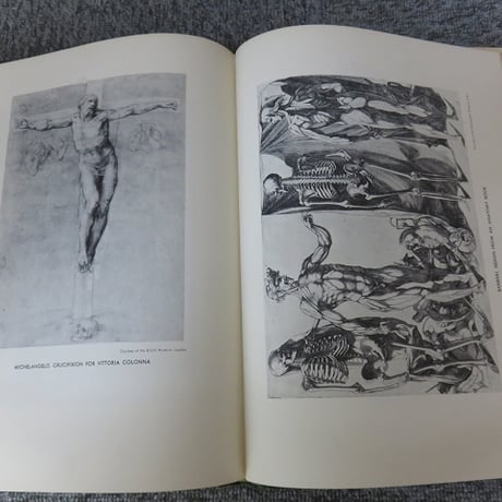 【洋書】AN ATLAS OF ANATOMY FOR ARTISTS　アーティストのための解剖学書/BL5-S10