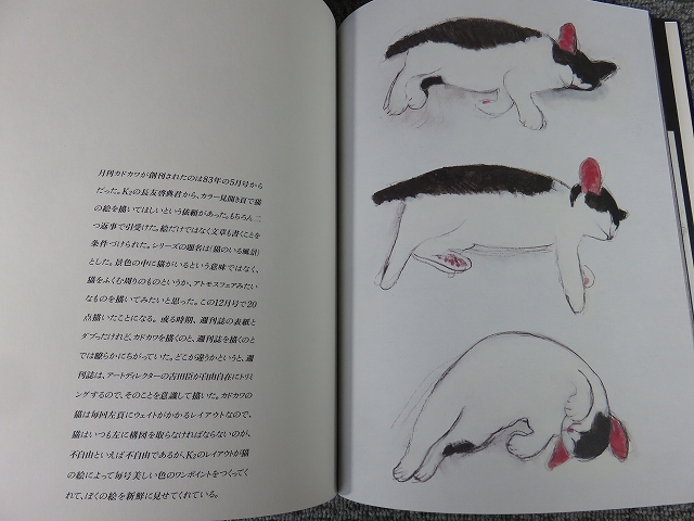 猫の肖像◇山城隆一◇画集/BL5-IR3 | エイワ書店 奈良の古本屋