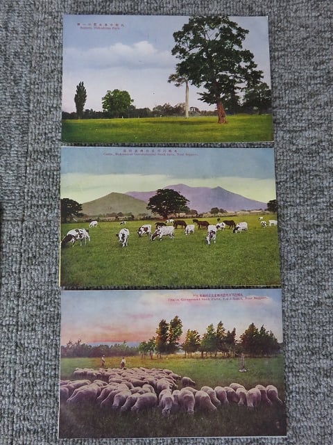 古い絵葉書 原色版『札幌維新堂絵葉書7枚』BL5-A7 | エイワ書店 奈良の