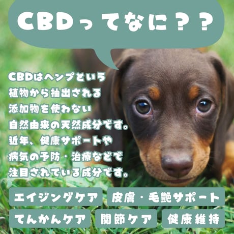 CBDナチュラルピュアパウダー