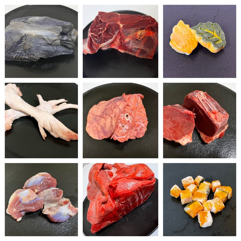 66d3fc8e888a2e160ee14e9c