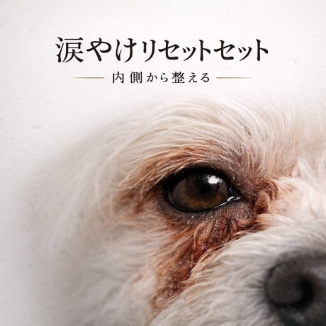 涙やけリセットセット。