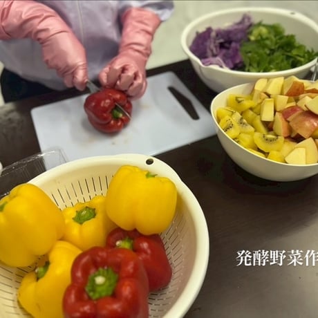 【国産】FooDog 11種発酵野菜切り取れる小分けパック　約150g