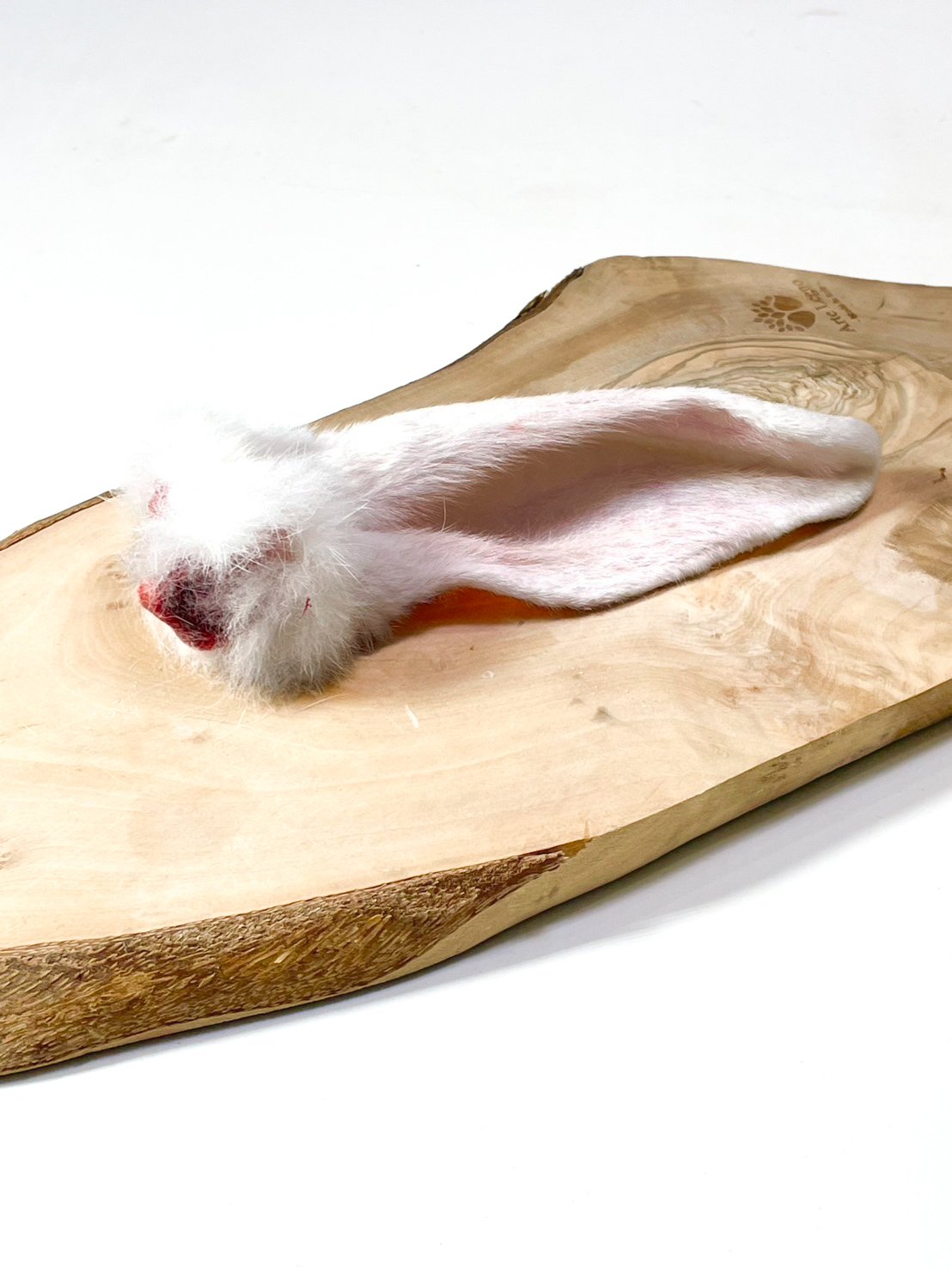 うさぎ の 耳