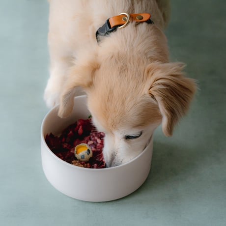 FooDogセレクション　小型犬向け50g×300g
