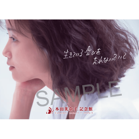 本田美奈子 カレンダー 2点セット 本田美奈子 カレンダー 2025 - メルカリ