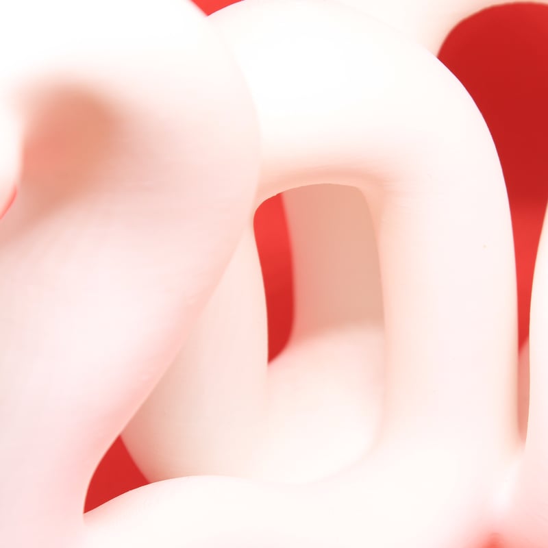 2025 干支飾り「蛇」特大サイズ | ALTER TECH SHOP