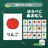 絵カード〈『はらぺこあおむし』モチーフ食べ物ピクチャーカード "The Very Hungry Caterpillar" Foods Flashcards〉 １６種類