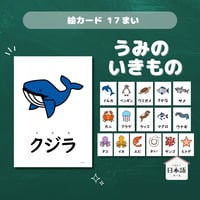 絵カード〈海の生き物ピクチャーカード Sea Animals Flashcards〉 １７枚