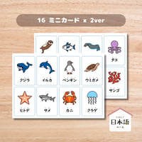 ミニカード〈海の生き物ミニカード Sea Animals Mini Cards〉 １６種類２セット