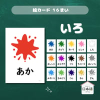 絵カード〈色ピクチャーカード Colors Flashcards〉 １６種類