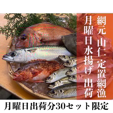 【地域限定】⚫︎冷蔵 網元山仁の鮮魚セット(月曜日出荷)