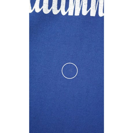 made in USA / 80's "JERZEES" 1951 alumni print tee