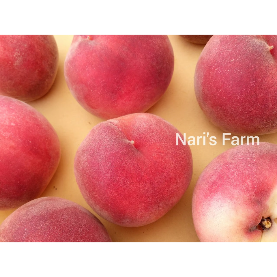 販売品種について】2025年 | ナリズファーム