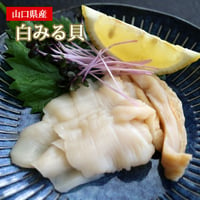 白ミル貝 むき身 1トレー約100gX5 山口県産 シロミルガイ しろみるがい シロミル（冷凍便）