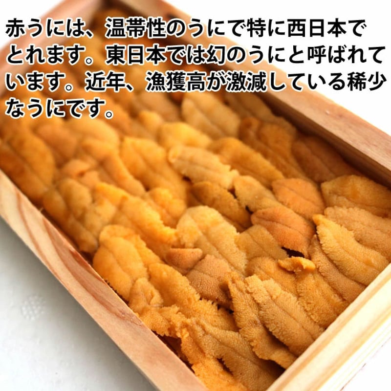 赤うに 約40～45gX1枚～2枚 瀬戸内海産 板うに ウニ 雲丹 生（冷蔵便