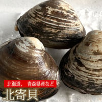 北寄貝 殻付き 活き 900g～4kg ホッキガイ 貝 生きてる 冷蔵便