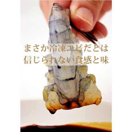 天使の海老《1kg/30-40尾》生食用 天使のえび 天使のエビ（冷凍便）