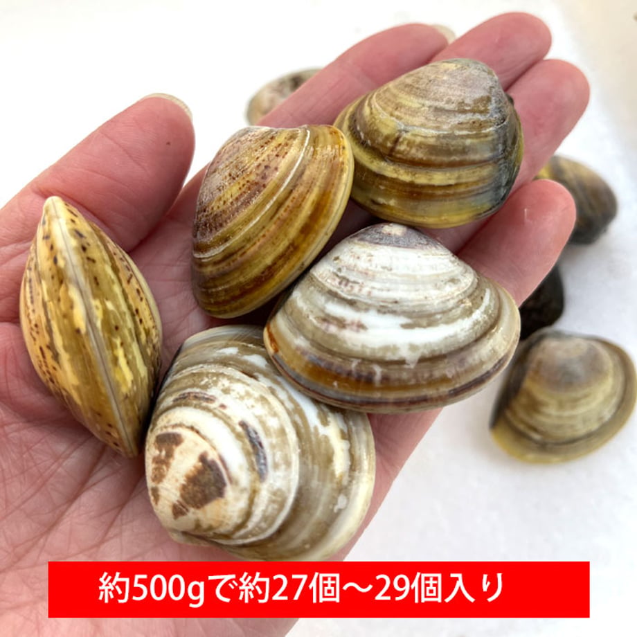 678db9b67656e205d2d51ef8