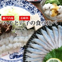 活き締め 鱧 穴子の食べ比べ セット （鍋にして3人前～4人前） 瀬戸内海産 レシピ付き アラ付き はも 鍋 鱧 はもしゃぶ 湯引き 天ぷら はもすき ハモ あなご 刺身 （冷蔵便）